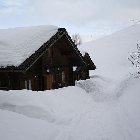 Ferienwohnungen Im Blockhaus Metzler Шварценберг им Брегенцервалд Екстериор снимка